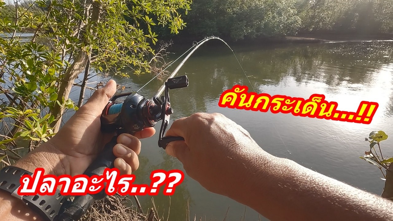 คันเบ็ดกระเด็นแต่ไม่เห็นปลา