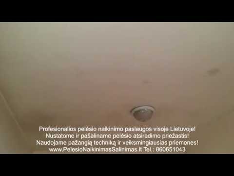 Video: Kaip visam laikui pašalinti pelėsį nuo buto sienų