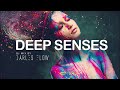 Darles Flow - Deep House Deep Mix | Deep Senses |