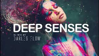 Darles Flow - Deep House Deep Mix | Deep Senses |