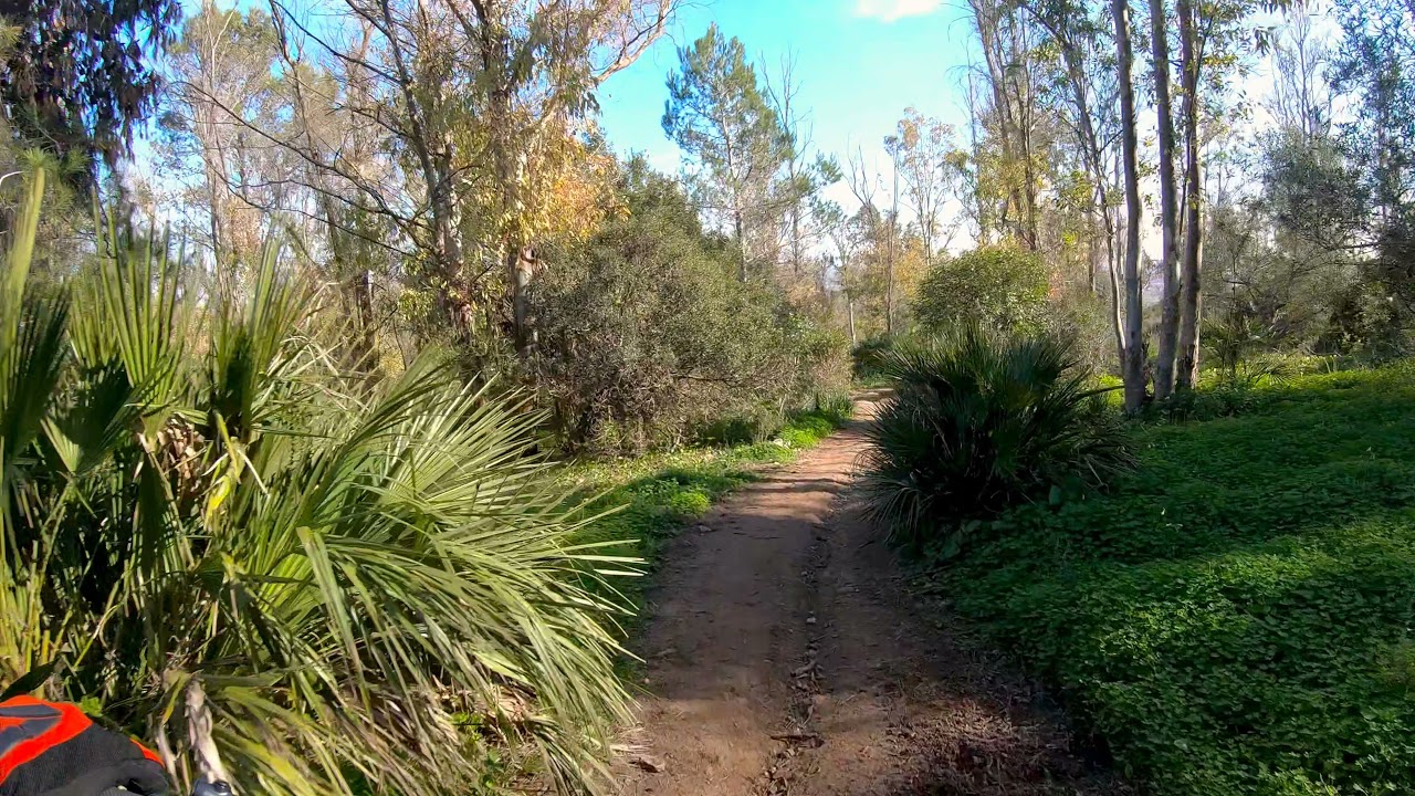 CANYON NEURON ON BAJADA  S. S. CRISTOBAL🚦