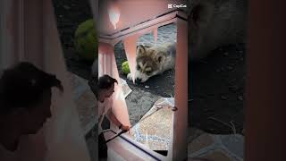 je fais cette vidéo pour toi🥹