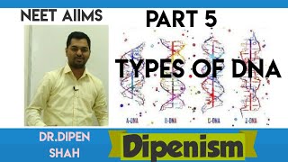 TYPES OF DNA | A-DNA, B-DNA, Z-DNA | MOLECULAR BASIS OF INHERITANCE NEET BIOLOGY Dipenism
