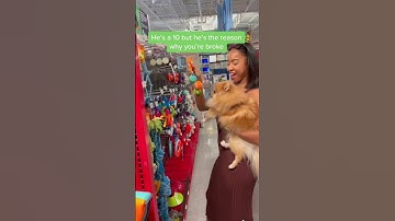 I may be broke but I