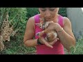 Rescue of an injured stray little kitty who found alone and scared