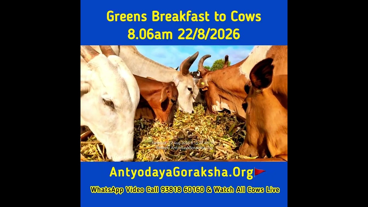 [22 Aug 2026] Morning Meal for Gomatas