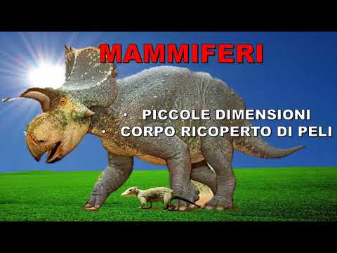 Video: Il Ruolo Di P21 Nella Regolazione Della Rigenerazione Dei Mammiferi