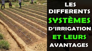 Les différents systèmes d'irrigation en agriculture et leurs avantages