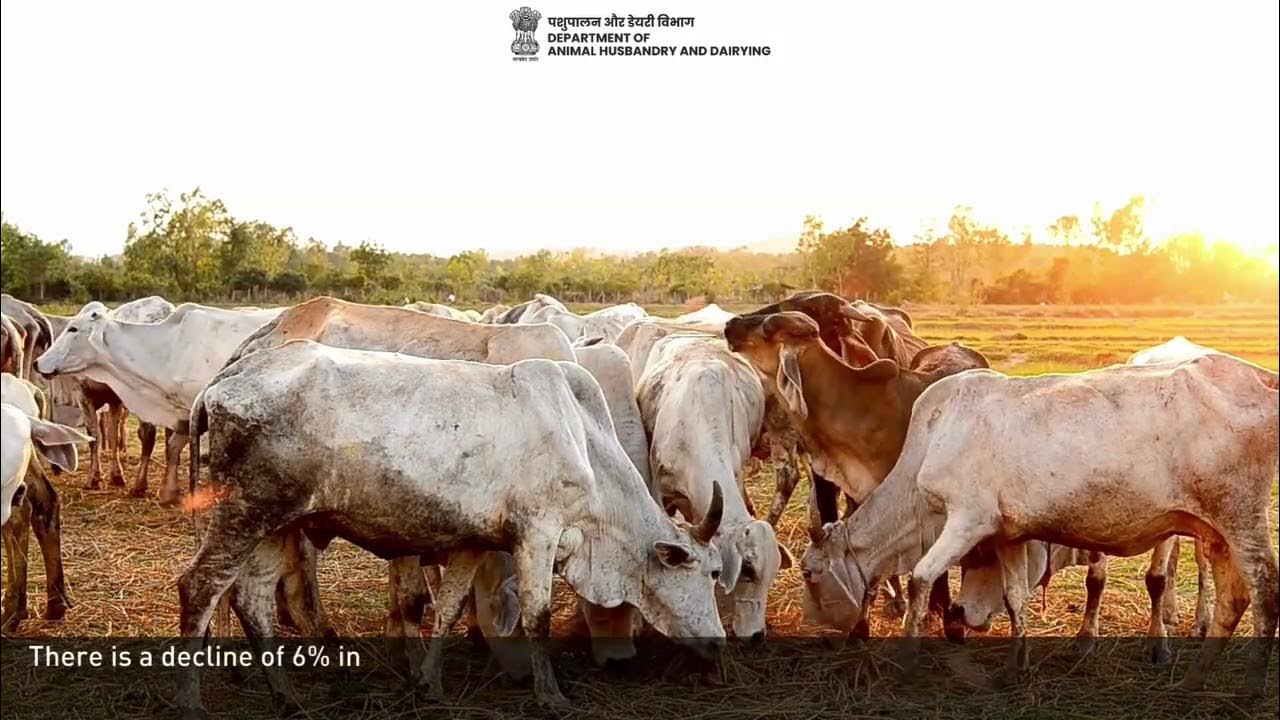 Glimpses of 1st meeting regarding preparations for "21st Livestock