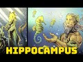 Hippocampus - The Incredible Sea Horses of Greek Mythology