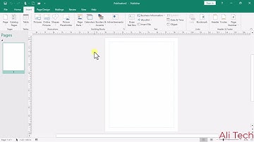 Insert Tab in MS Publisher