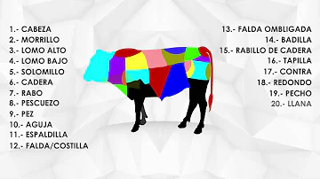 ¿Cómo se llama la carne de vaca?