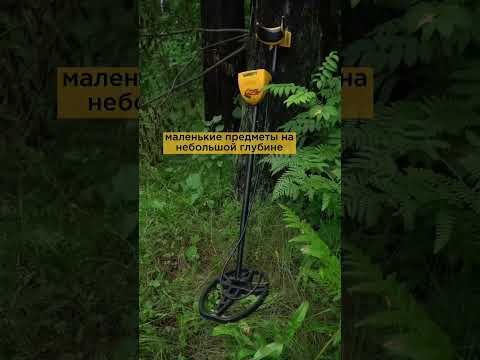 А вы знали?