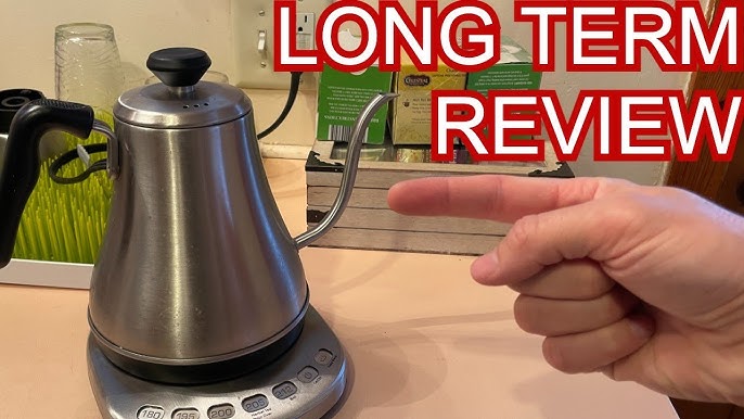 INTASTING Electric Kettle Review! 