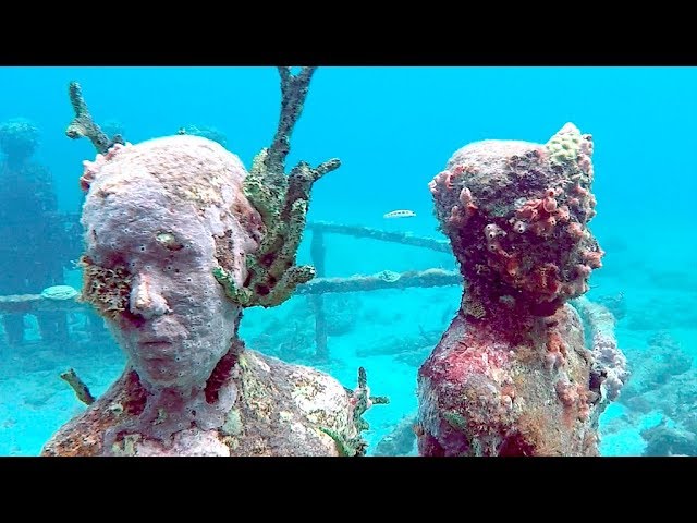 Grenada, Underwater Sculpture Park, St. George's / Sailing Aquarius #19