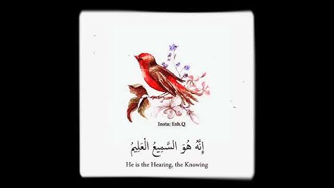 توكل ع الله.آيات تخشع لها القلوب.حالات واتس