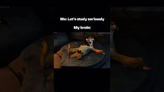 me: let's study seriously meanwhile my brain!