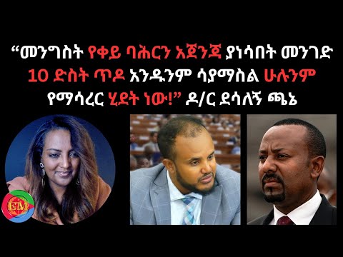 መንግስት የቀይ ባሕርን አጀንጃ ያነሳበት መንገድ 10 ድስት ጥዶ አንዱንም ሳያማስል ሁሉንም የማሳረር ሂደት ነው ዶ ር ደሳለኝ ጫኔ 10 29 2025