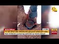 විදෙස්ගත|sin
