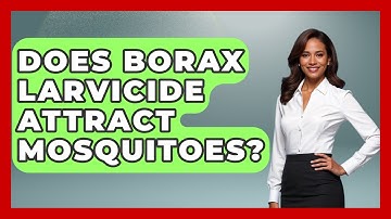 Does Borax Larvicide Attract Mosquitoes? - Insects and Invaders