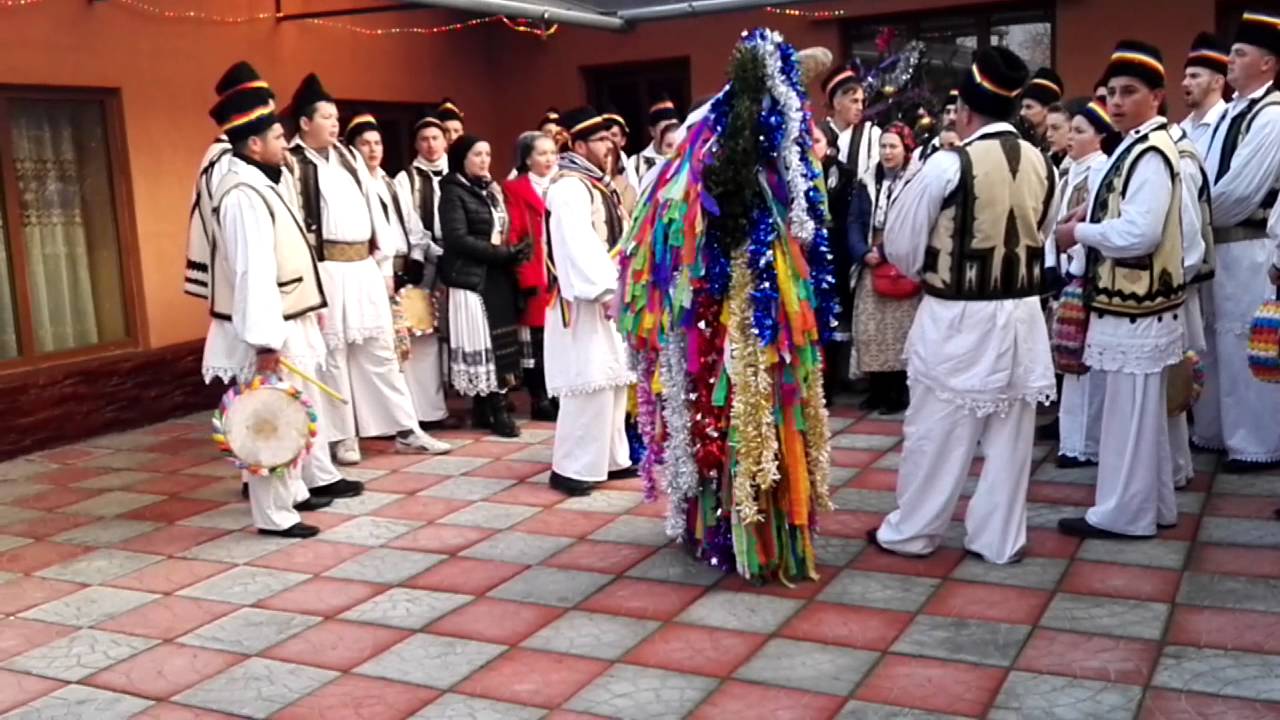 Dubasii din Rachita 2015