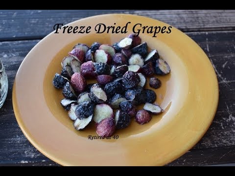 Freeze Dried ������Grapes������ in the HARVEST RIGHT Freeze Dryer - YouTube