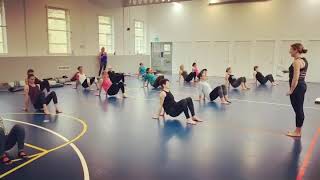 Animal Flow Movement Workshop