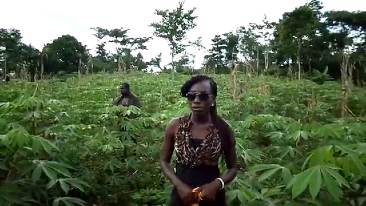 Volunteer BaseCamp Ghana- Farming and Agriculture Volunteering