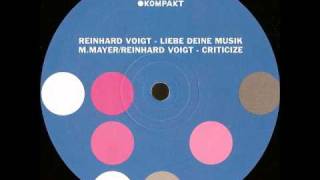 Michael Mayer/Reinhard Voigt - Criticize