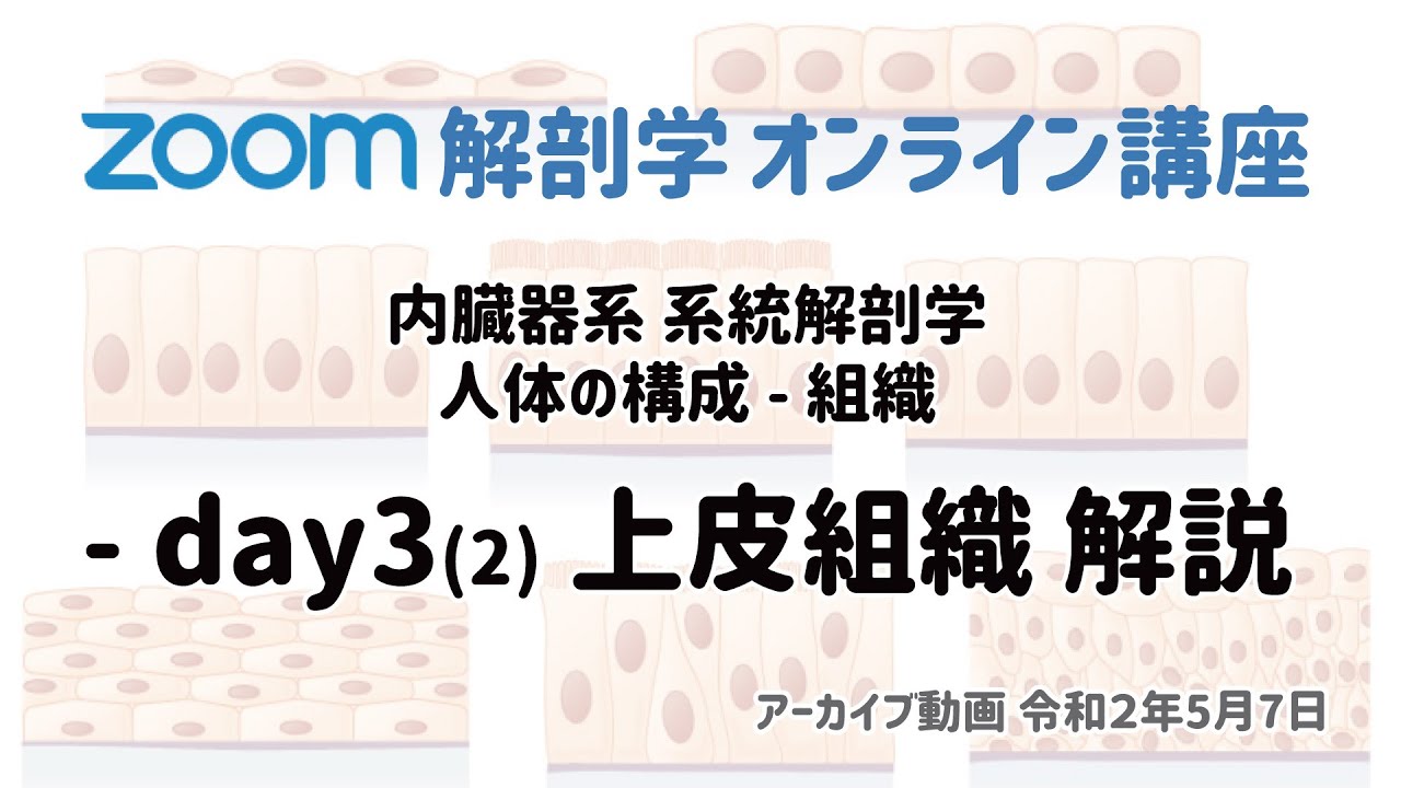 Zoom解剖学 アーカイブ動画まとめ 徹底的解剖学