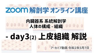 zoom解剖学 day3 (2) 上皮組織 解説｜かずひろ先生の【徹底的国試対策】解剖学｜オンライン講座アーカイブ