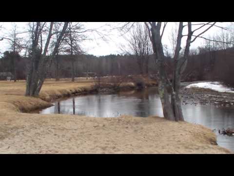 Trout Salmon Brook Trout Fishing