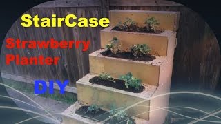 DIY Strawberry Project Stair Case Strawberry Planter.