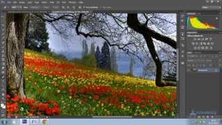 Photoshop Tutorial : Using Match Color in Photoshop CS6