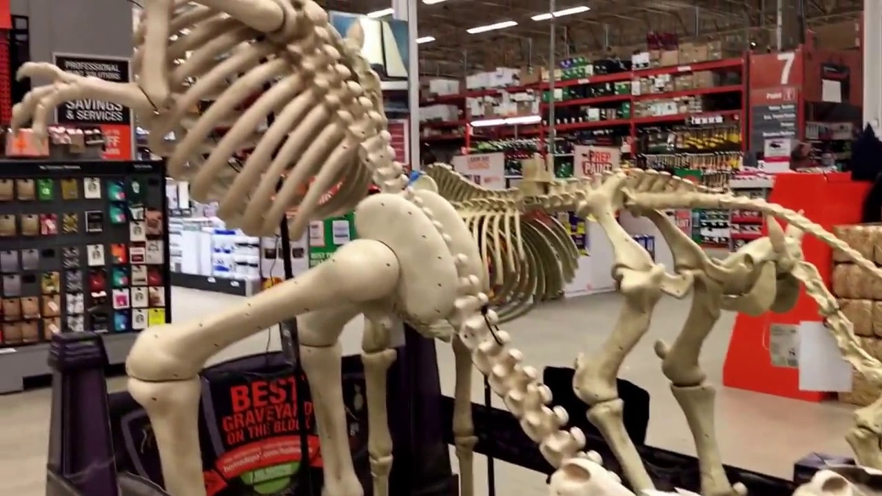  Home Depot Halloween 2019 NEW Animated 8 5 T Rex 3 T 