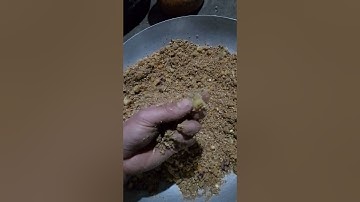 chia sẻ bài mồi câu lancer mùa đông kết hợp mùa hè cho a e đam mê bộ môn lancer