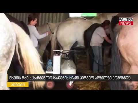 ცხენის რძე სასარგებლო საკვების სიაში პირველ ადგილზე აღმოჩნდა