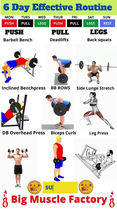 6 Day Effective Plan | Effective workout routine | Push, Pull & Legs workout | #workout