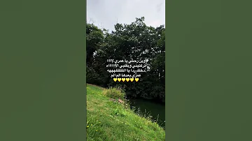 وين رحتي يا عمري لا لايك 