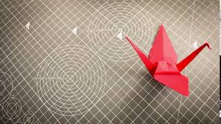 Origami Bird Stop-Motion