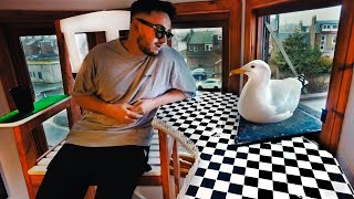 My Pet Seagulls New Bedroom! * $1000 High Chair *