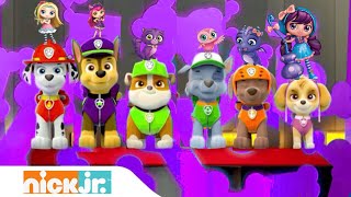 Little Patrol Shimmer