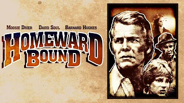Homeward Bound (1980) Full Movie | Moosie Drier | David Soul | Barnard Hughes