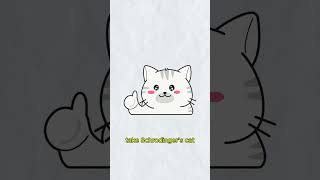 Quantum Superposition Explained In 28 Seconds Schrödingers Cat Mystery