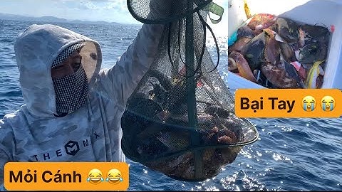 Câu Cá Biển Tự Nhiên, Câu Đáy Hòn Cân, Câu Cá Vặt, Câu Cần Máy. Cá Mú, Cá Róc, Cá Bò, Cá Tao Táo.