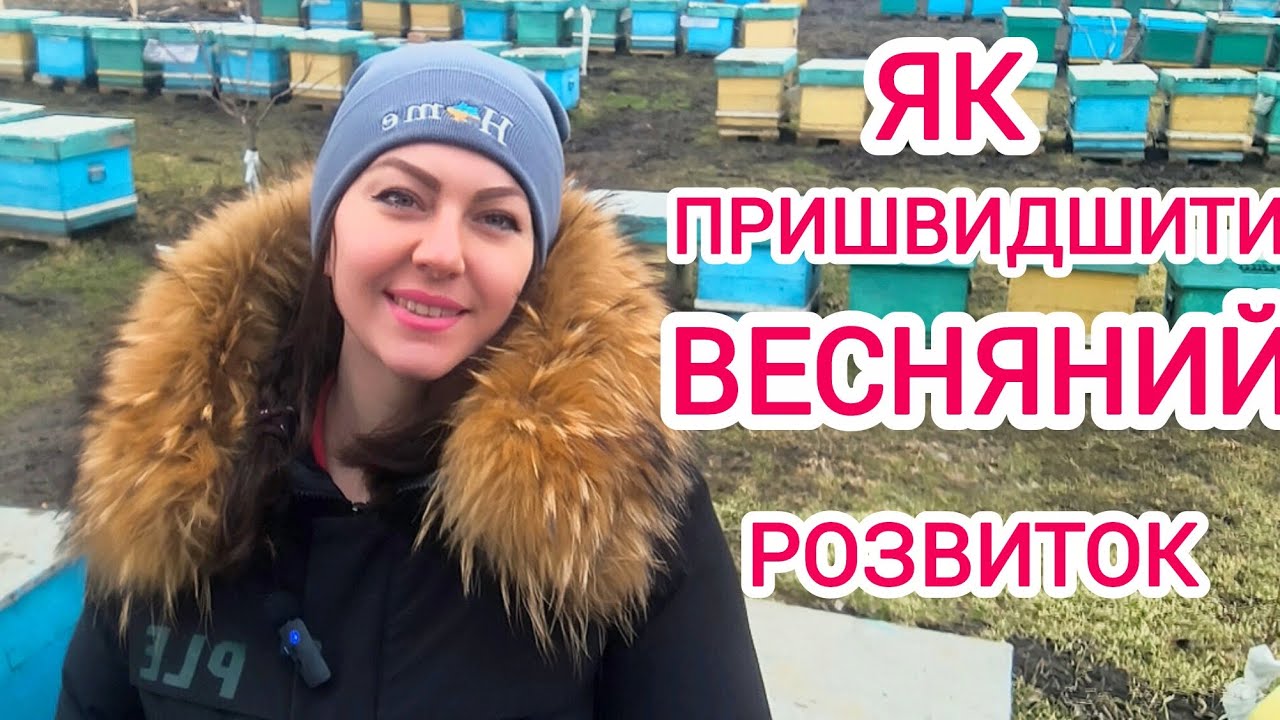 Активний розвиток, стимуляція бджіл .  Плівка, білкова підгодівля.