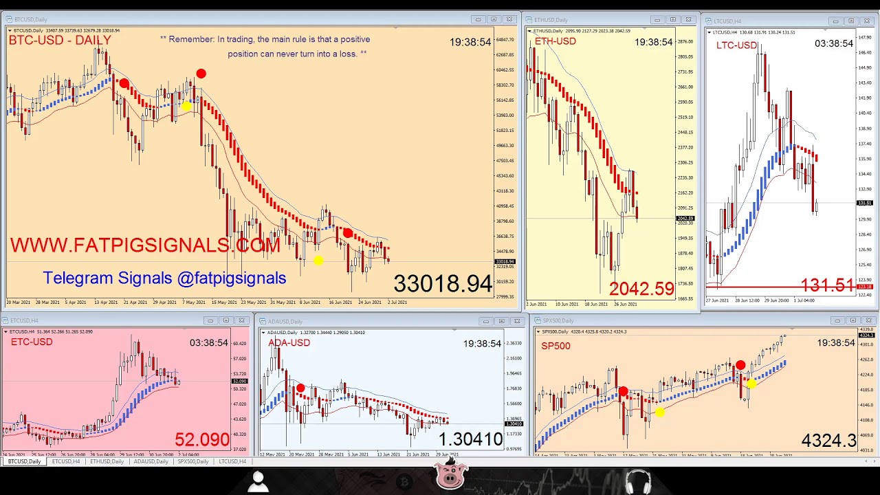 Bitcoin Live  Algorithm and Cryptocurrency Live Trading 24-7 Since 2017 analyzing the crypto market