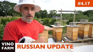 Let Bees Keep Themselves and This Happens... (RUSSIAN UPDATE)