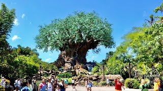 Disney&#39;s Animal Kingdom 2023 Tour / Sights &amp; Sounds in 4K | Walt Disney World Florida June 2023