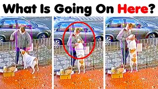 The Most Bizarre Things That Were Ever Filmed (NEW) The Most Bizarre Things That Were Ever Filmed (NEW)